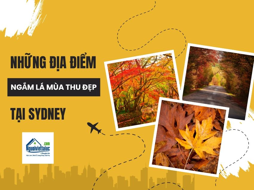 Các địa điểm ngắm lá mùa thu đẹp tại Sydney