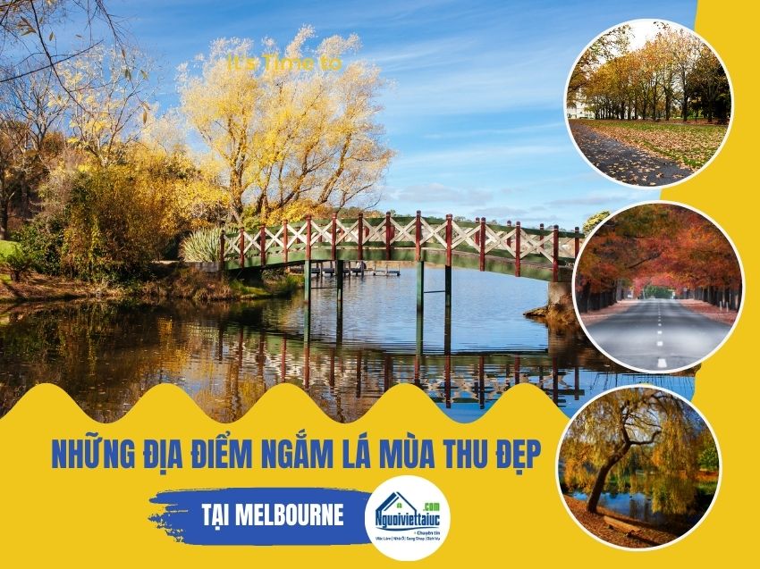 Địa điểm ngắm lá mùa thu đẹp nhất Melbourne, Australia