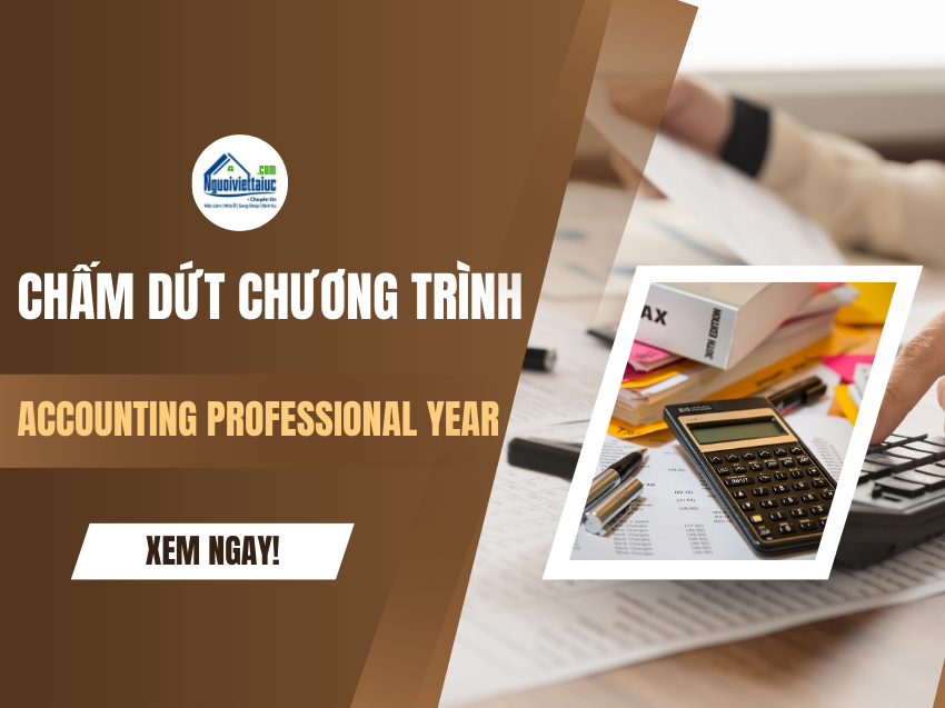 Chương trình Accounting Professional Year dừng hoạt động