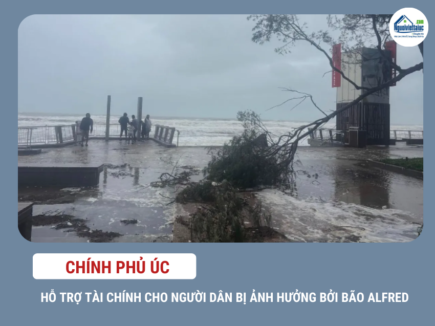 Nhận ngay hỗ trợ tài chính sau bão Alfred từ chính phủ
