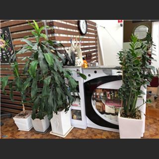 Shop nail vùng Gladstone Park shopping, gần sân bay Melbourne cần sang