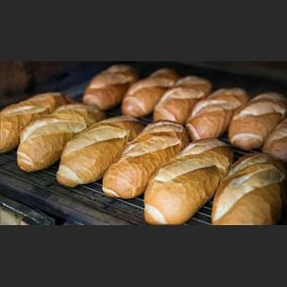 Sang lò bánh mì Wholesale tiền rent rẻ vùng Marrickville