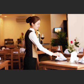 Nhà hàng Saigon Bowl đang cần tuyển waiter / waitress lương cao